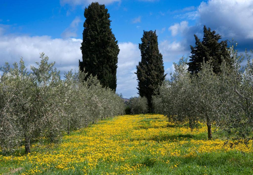 Locanda Ilune Pitigliano Exterior photo