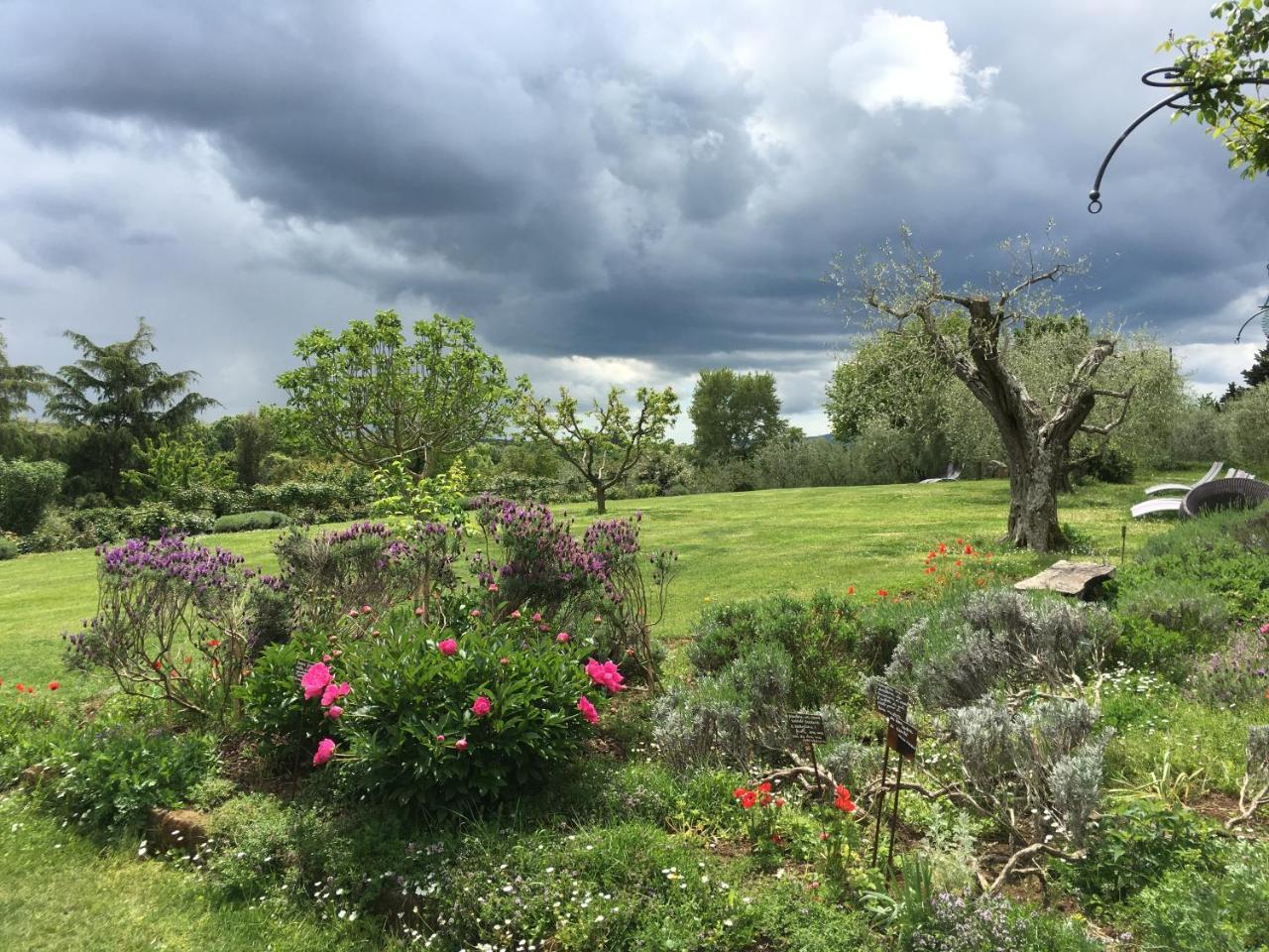 Locanda Ilune Pitigliano Exterior photo