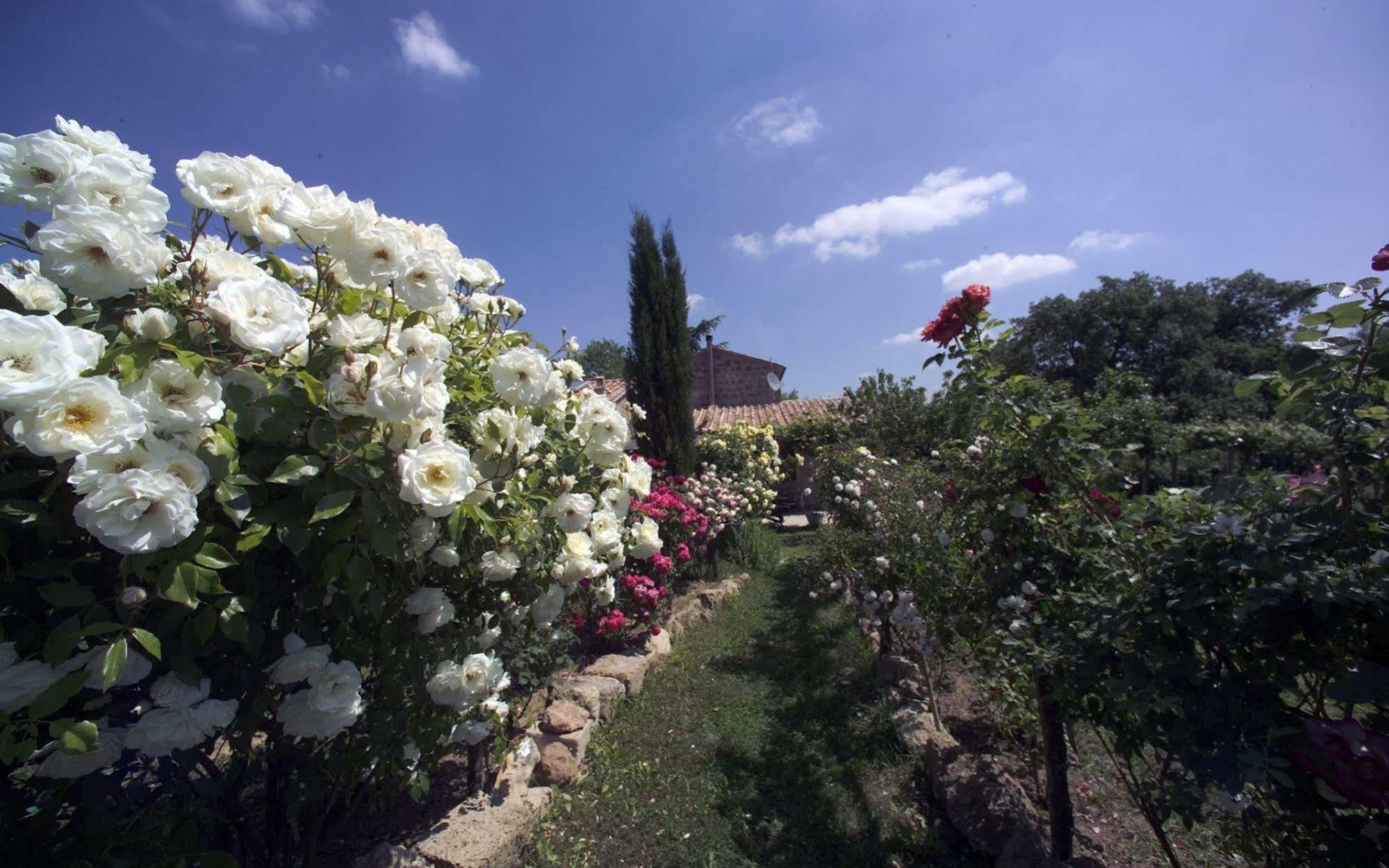 Locanda Ilune Pitigliano Exterior photo